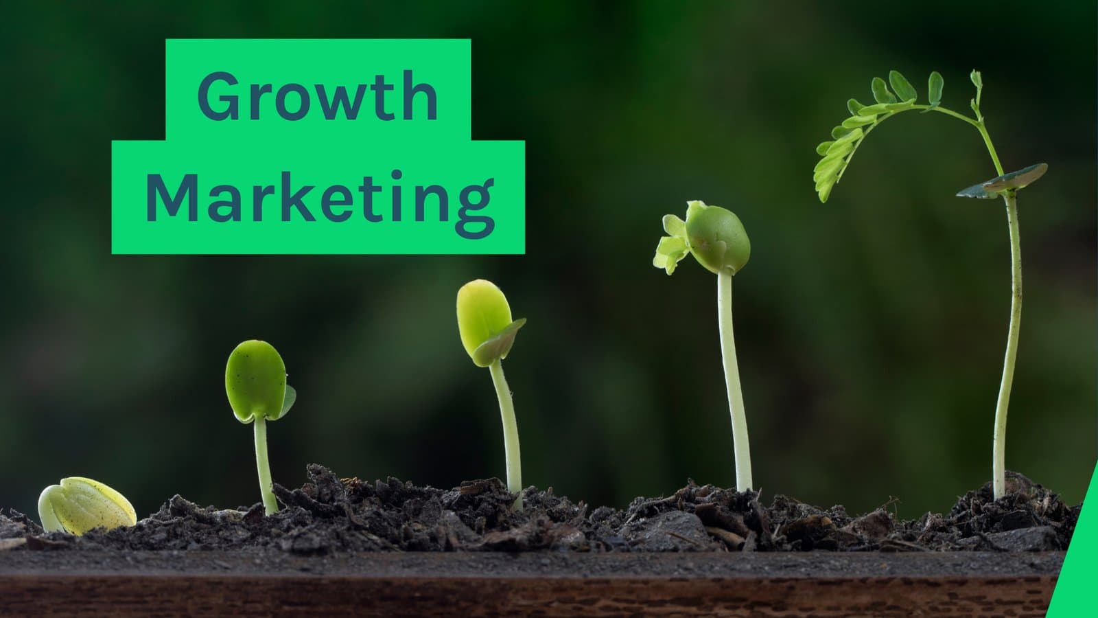 Growth Marketing im Startup: Schnell testen, skalieren, wachsen